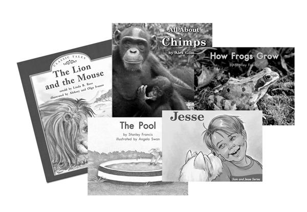 Example of Books